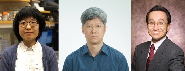 연구의 세 주역들. 제1저자 최정화 미국 카네기연구소 박사후연구원과 김철희 충남대 생물과학과 교수, 신희섭 기초과학연구원(IBS) 인지및사회성연구단장. - 한국연구재단 제공